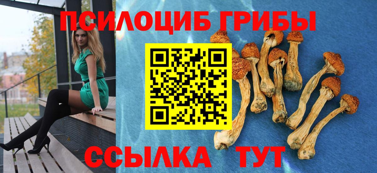 Кизляр  Псилоцибиновые грибы Magic Shrooms  купить  сайты  Вход с VPN 
